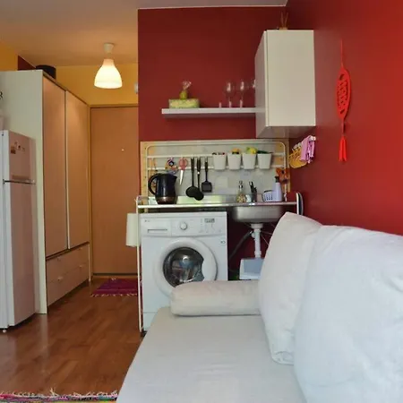 Slucko Near River 公寓